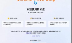 微软New Bing完美聊天机器人源码，支持ChatGPT提示词 国内可用，基本兼容微软 Bing AI 所有功能