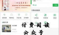 A2088付费阅读微信小程序源码 付费阅读公众号双版本源码 付费阅读独立版源码支持免费观看部分文字、视频和音频内容